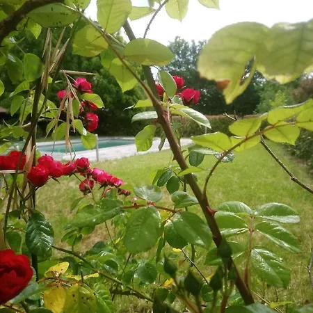 Hotel Blue Lagoon Suites & Spas Piscine