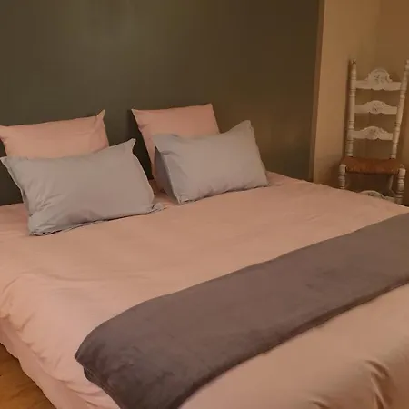 Blue Lagoon Suites & Spas Piscine 3* Montauban