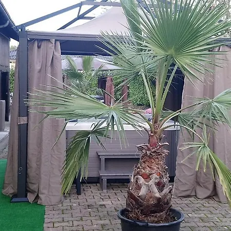 Blue Lagoon Suites & Spas Piscine Montauban