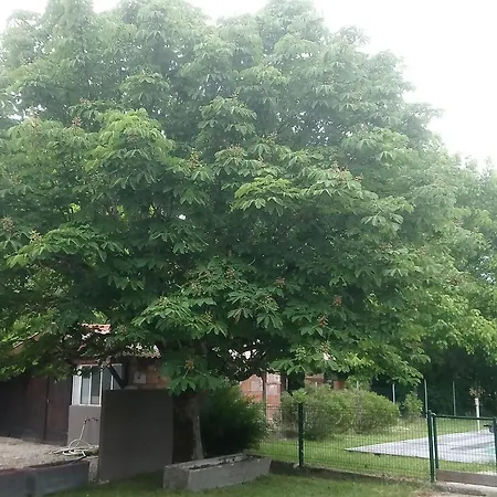 Blue Lagoon Suites & Spas Piscine Montauban