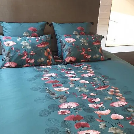 Blue Lagoon Suites & Spas Piscine Otel Montauban