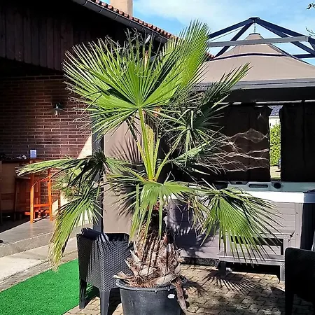 Otel Blue Lagoon Suites & Spas Piscine 3*