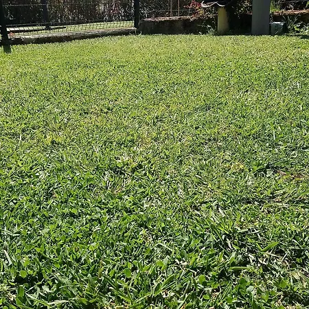 Blue Lagoon Suites & Spas Piscine