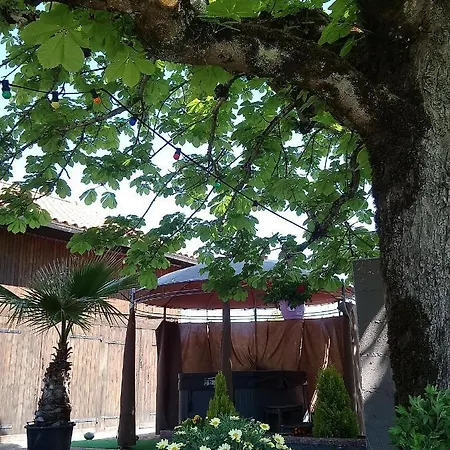 Blue Lagoon Suites & Spas Piscine Otel 3*