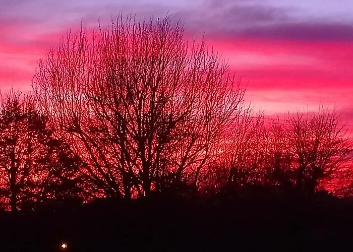 酒店 Blue Lagoon Suites & Spas Piscine 3*