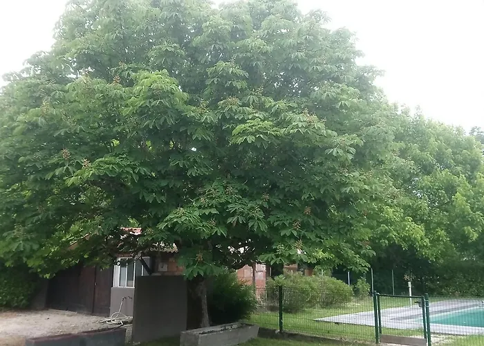 Blue Lagoon Suites & Spas Piscine 蒙托邦