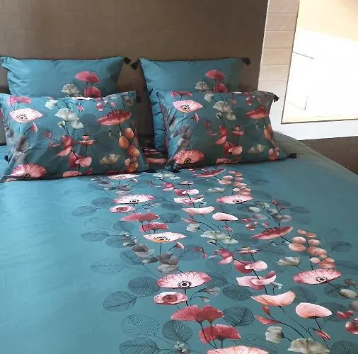 Blue Lagoon Suites & Spas Piscine 酒店 蒙托邦