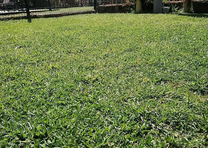 Blue Lagoon Suites & Spas Piscine