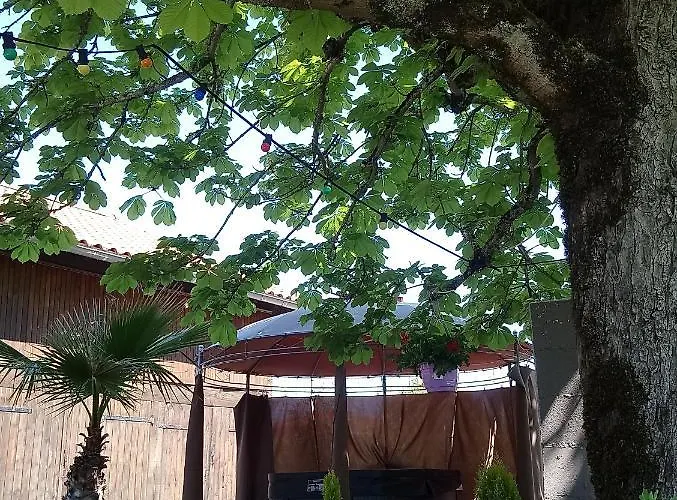 Blue Lagoon Suites & Spas Piscine 酒店 3*