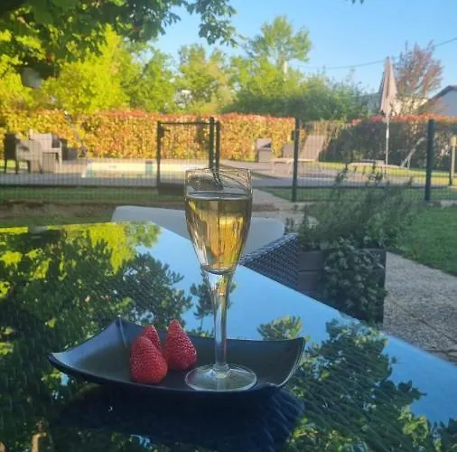 酒店 Blue Lagoon Suites & Spas Piscine 3*